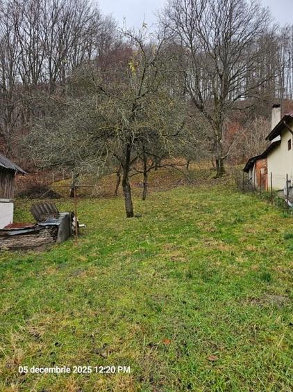 Casa modernizata in Campulung Muscel,padure proprie, toate utilitatile - 6