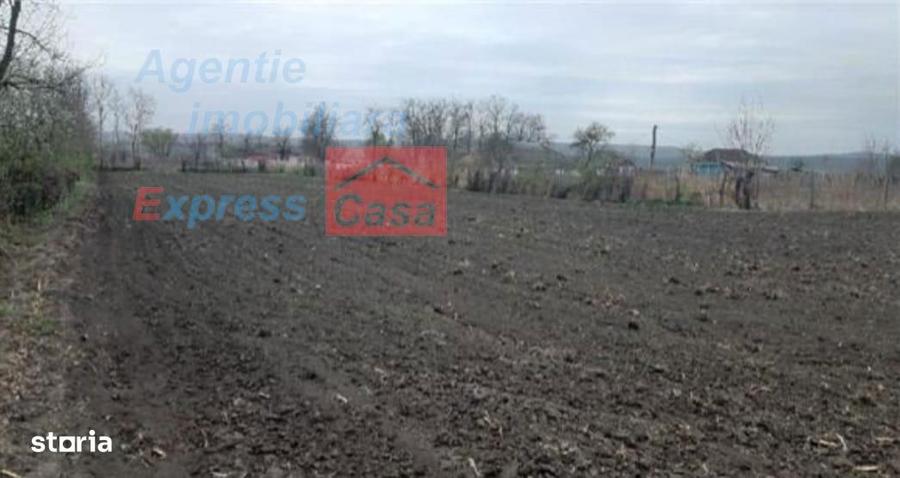 Teren de vanzare 3000 mp, Prisacani (27 km de IASI) - 5