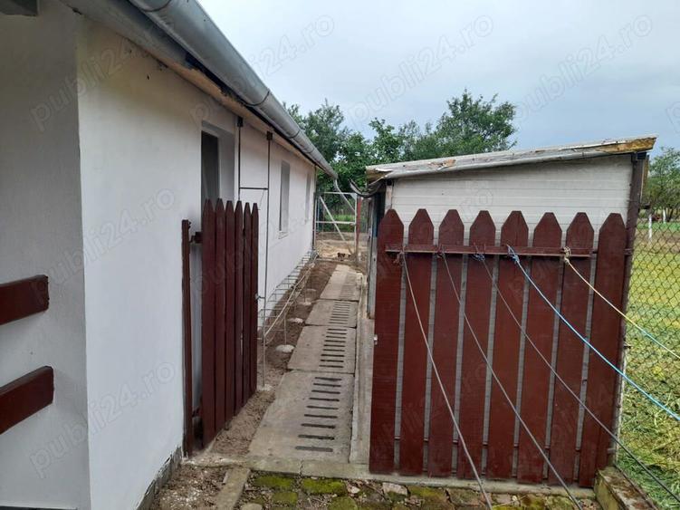 Vand casa Peciu Nou - 7