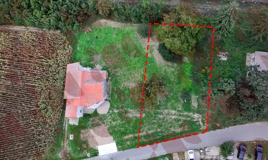 Teren intravilan de 600 mp in Odoreu - 3