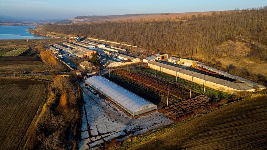 Fosta Ferma a Partidului de la Horgesti - de vanzare - 19