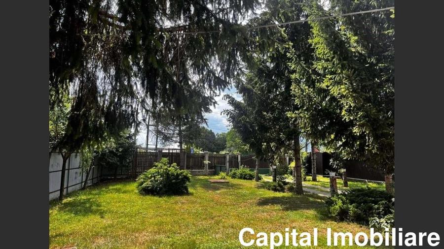 Villa for sale, 4 Rooms, 200 sqm, 4500 sqm, Cordun - 6