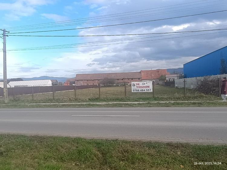Teren de 1327 mp, în Cărpiniș