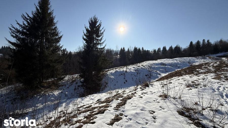 Teren extravilan 2.1 ha Salatruc, Vama - 10