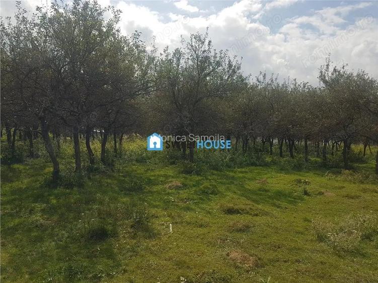 Teren de vanzare in Sambata de Sus