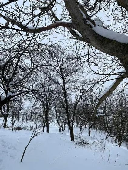 Vand Casa la tara cu CF, teren 2800 mp Comuna Geaca, Sat Lacu - 1