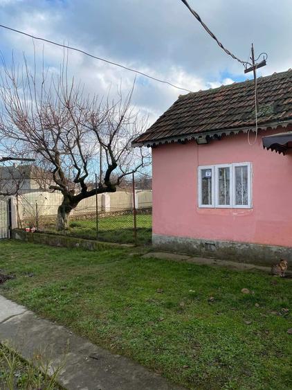 Casa de vanzare- Cobadin- Jud. Constanta- Teren 2200 mp - 5