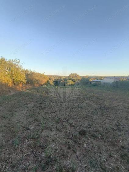 TEREN INTRAVILAN PLOPU//3000 MP - 3