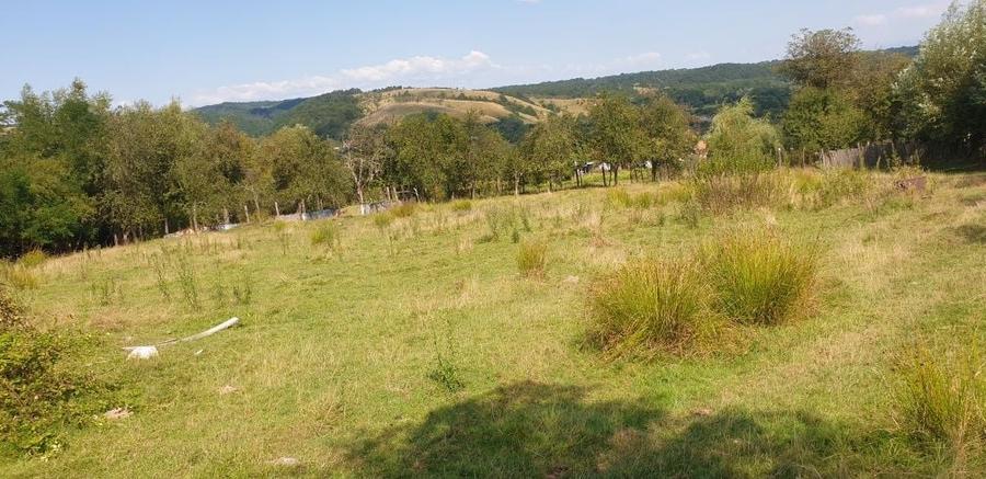 VAND/SCHIMB teren intravilan in com. Ezeris, Jud. Caras-Severin - 6