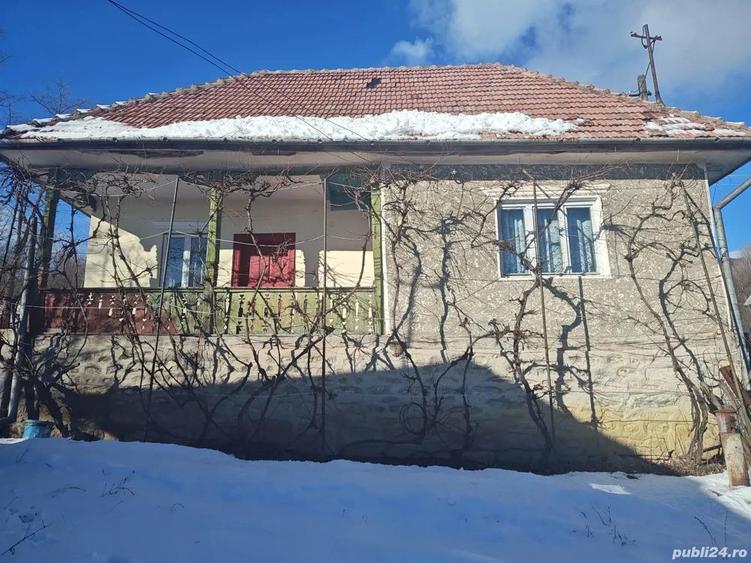 Teren + Casa Batraneasca Sat Serbanesti Salatrucel - 5