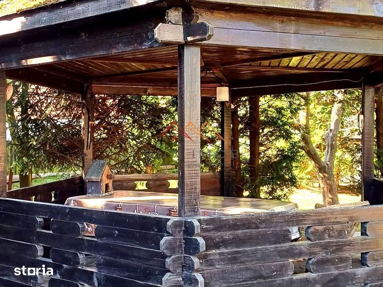 Casa rustica P+M duplex, teren 325 mp, foi?or, Brebu PH 159000 Euro - 8