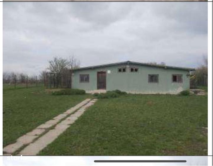 HUB Logistic intermodal 9,1 ha acces direct la DN 59/E70 JEBEL ,Timis - 4