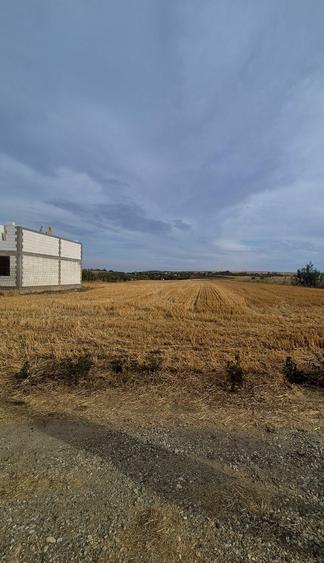 Vand teren intravilan Bals(Vartina), Olt - 9