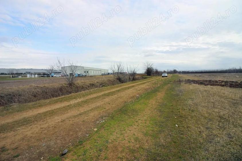 Teren intravilan 3.500 mp Jebel, la 20 min de Timi?oara - 1