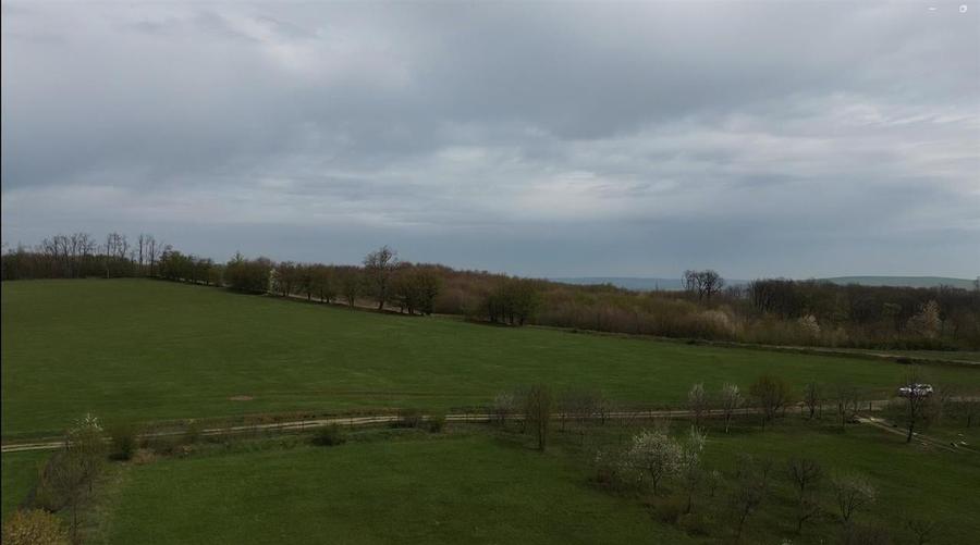 Teren intravilan 5800 mp Mitocasi - Suceava! - 5