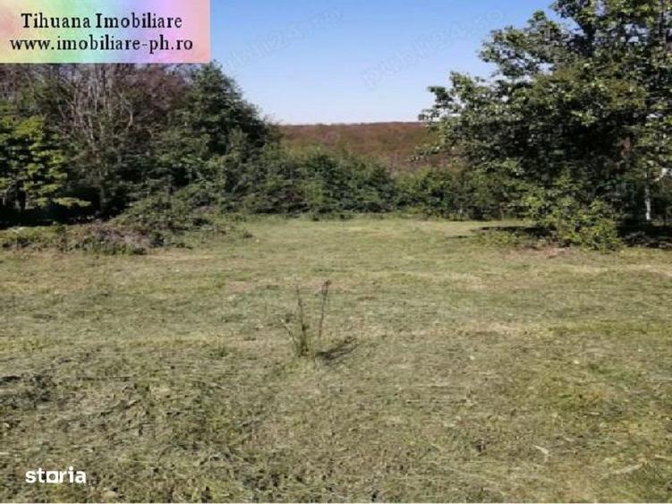 Teren de vanzare - Cocosesti(com. Paulesti) - 1