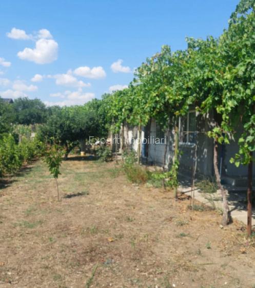 Casa situata in zona Cobadin