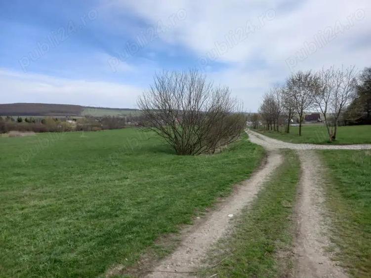 Vand teren Dragomirna 3000 mp langa padure - 3