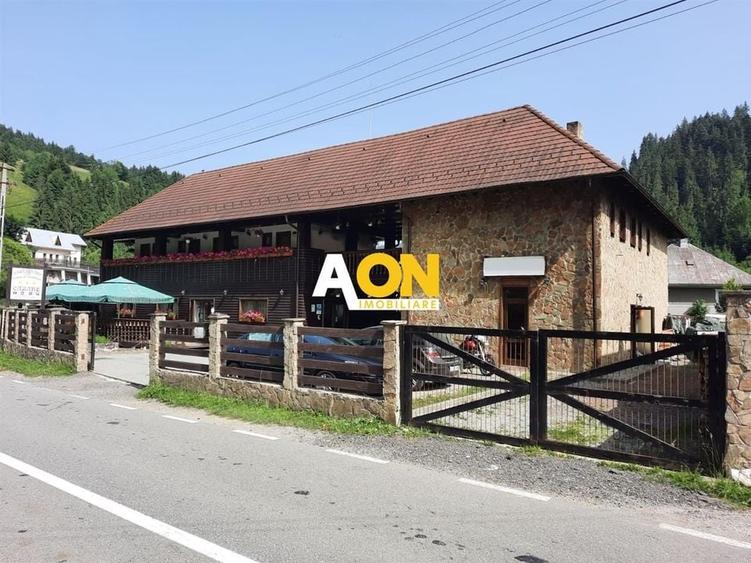 Pensiune in Muntii Apuseni 10 camere 1007 mp teren - 2