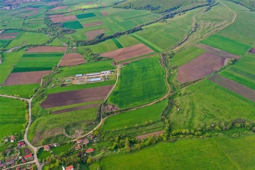 Film&Tur! Domeniu pe 222.000mp+ Ferma +Anexe specifice+Constructie+
rezidential - 43