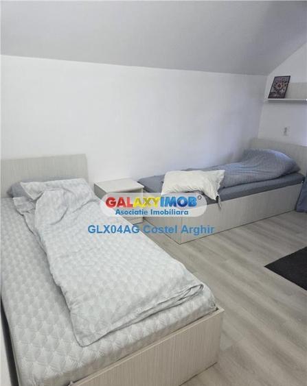 Inchiriem vila in Budeasa, mobilata si utilata - 13