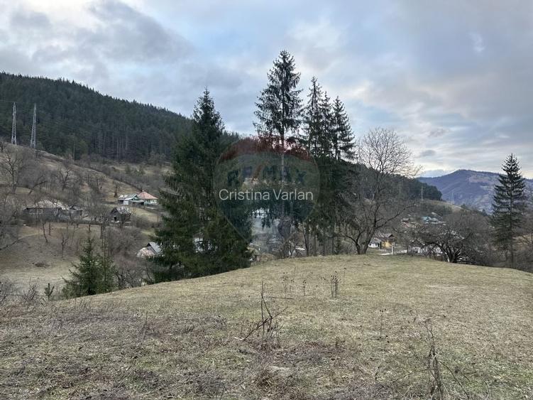 Teren 2,000mp Stejaru (Pangarati) / None