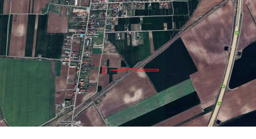 Teren Intravilan 1500mp Super Oferta Caciulati Balotesti - 1