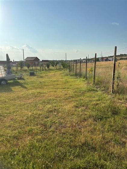 RECO Teren intravilan Betfia - 1