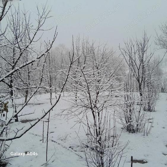 Vand casa in Amna? - 7