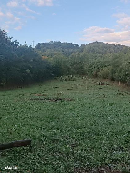 Teren Construibil de Vanzare in satul Homoraciu, Prahova - 2