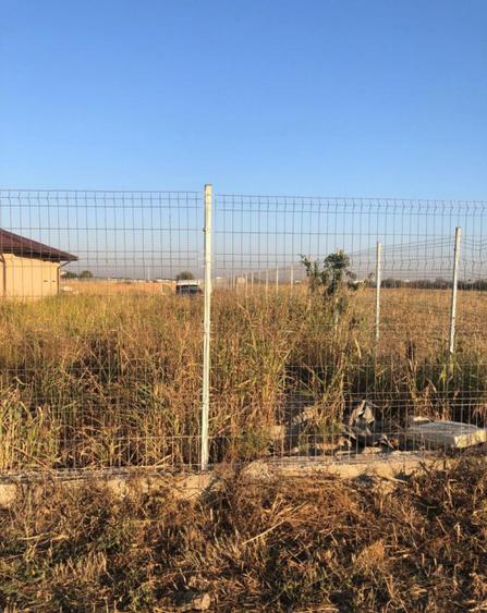 Teren intravilan 500 mp Magurele - 1