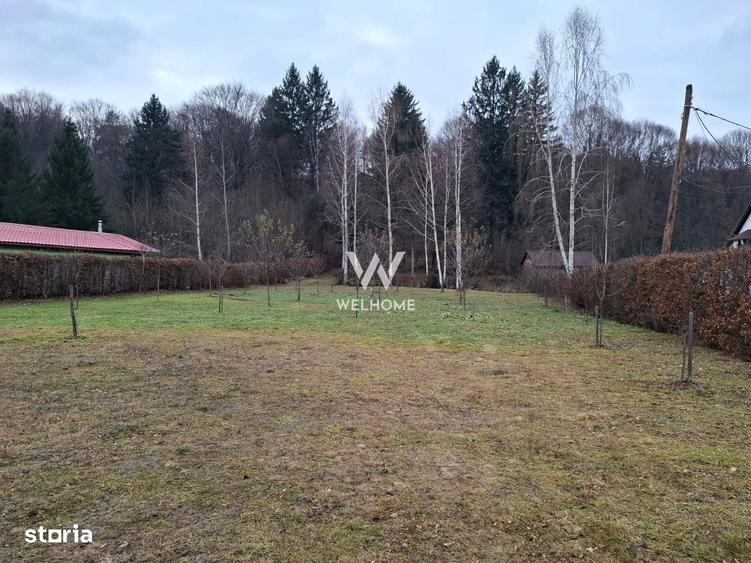Teren deosebit pozitionat, cu livada, langa padure, pe Valea Avrigulu - 5