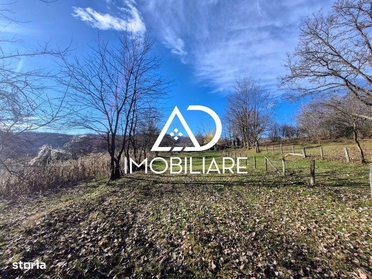 Proprietate de vanzare in Sat Cerni?oara, Jude? Valcea - 6