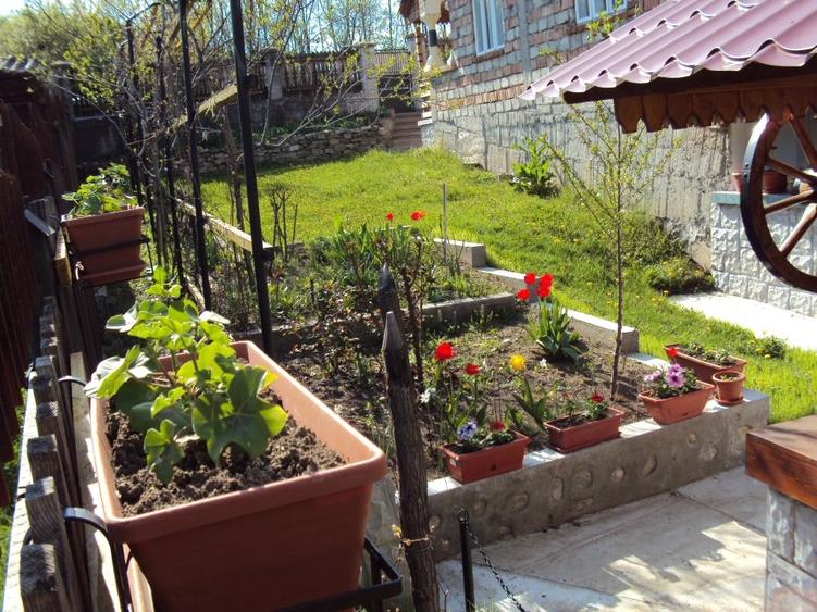 Casă de vânzare, Ocnița (Ocnele Mari, Vâlcea), zonă superbă - 3