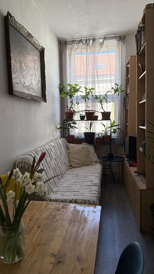 Apartament la casa, ultracentral oportunitate investitie / locuinta, Oradea (Str. Rimanoczy Kalman) - 5