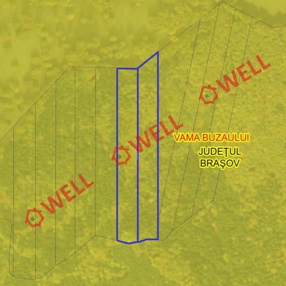 Teren agricol extravilan de 23000 mp, în Vama Buzăului