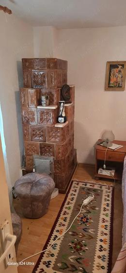 Casa de vacanta la VANZARE - 4