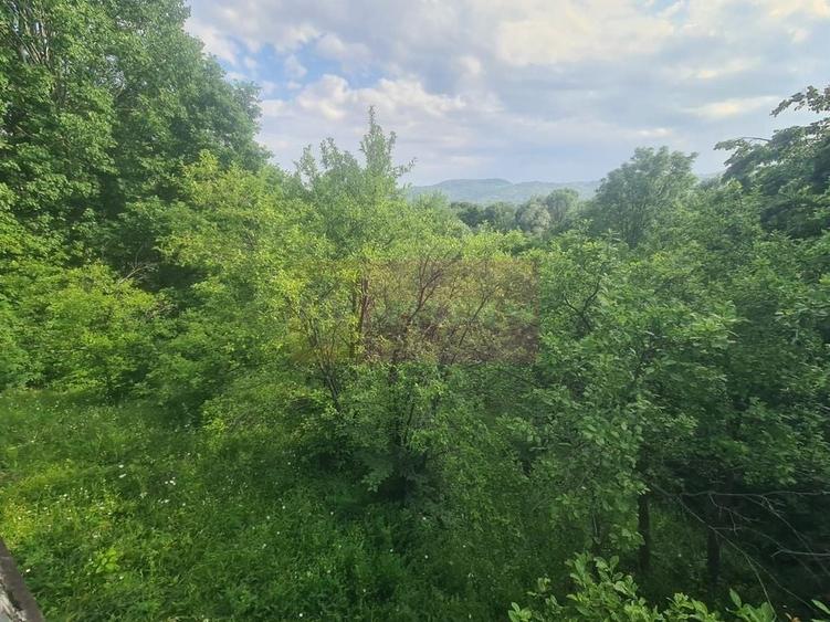 Vila de vanzare cu 6 camere in Cornu (teren 6.600 mp) - 43