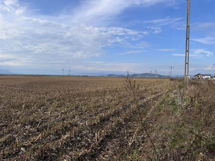 Teren dezvoltare rezidentiala Tarlungeni - zona Izvor - 1