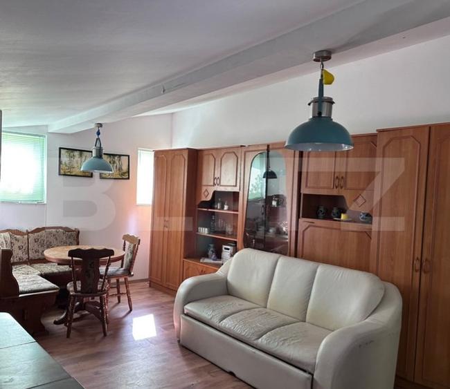 Cabana de vanzare in Belis - 6