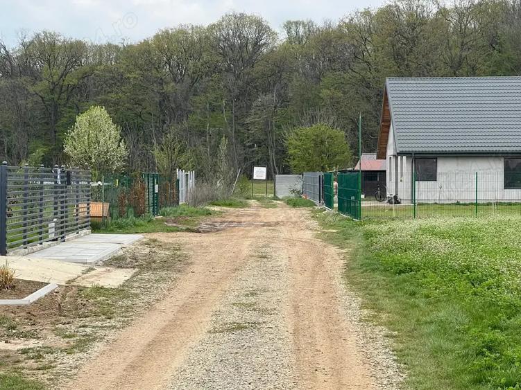 Teren de 1500 mp, în Ciolpani