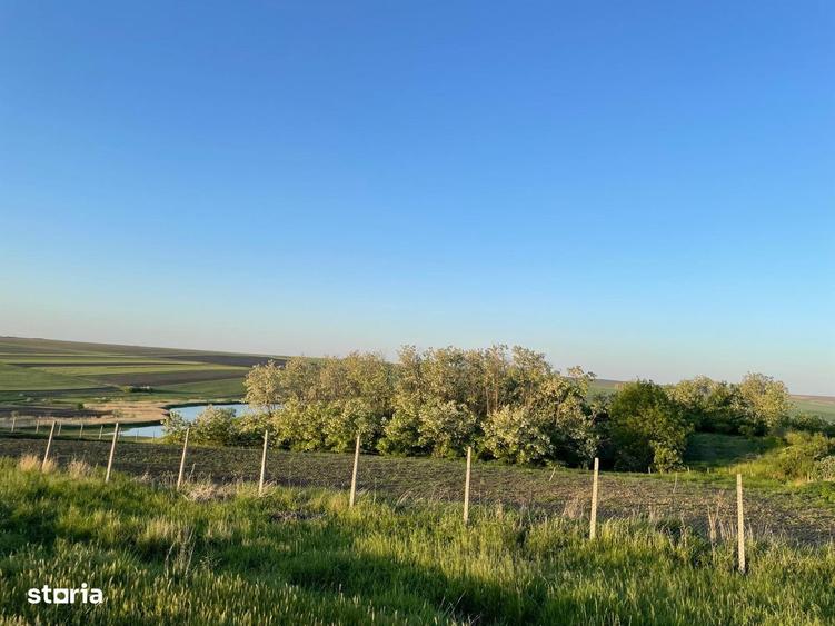 Teren de 3100 mp, în Bălțați