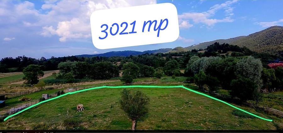 Teren agricol extravilan de 3021 mp, în Șinca Nouă