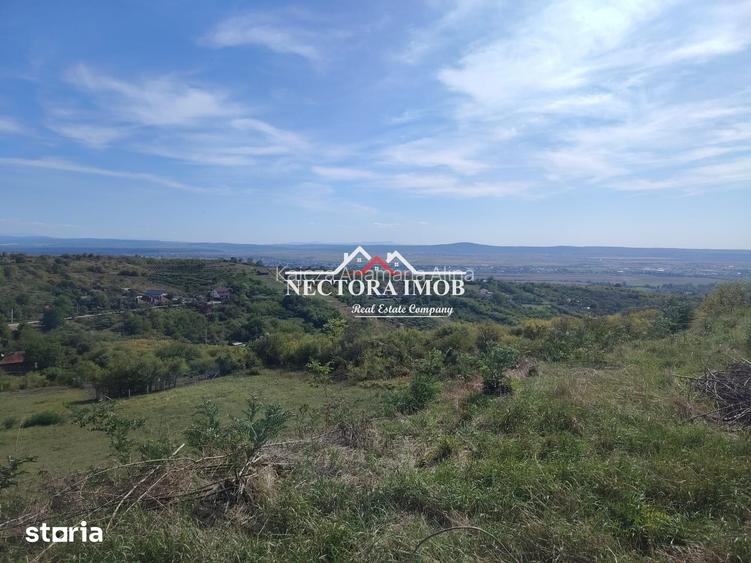 NECTORA IMOB-Teren Saldabagiu de Munte, 2350 mp, 21 ml front stradal