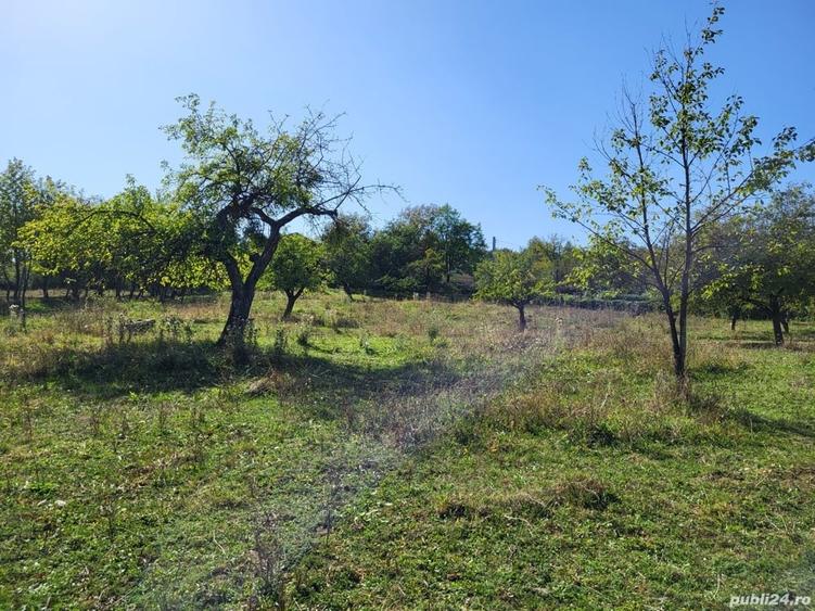 Teren de 4100 mp, în Remetea Chioarului