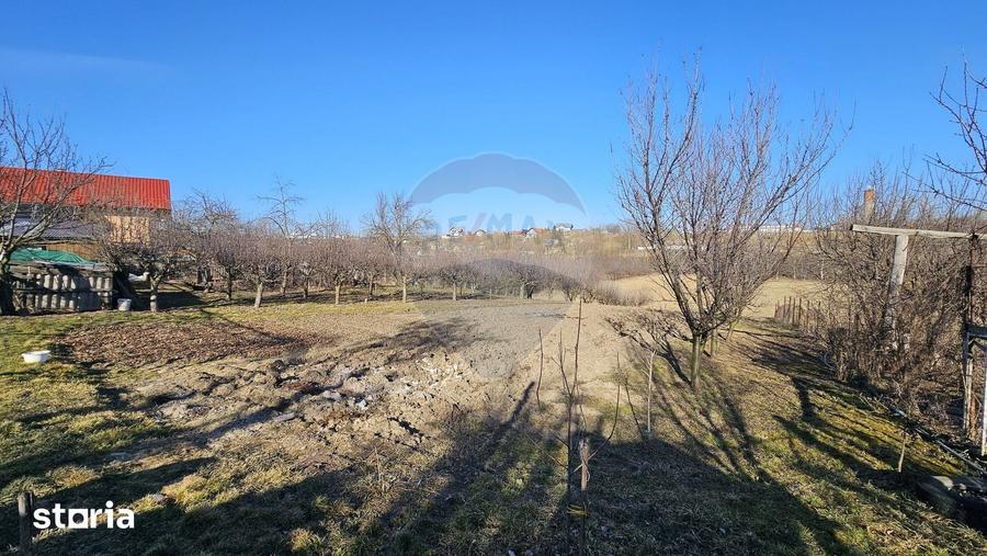 Casă cu 3 camere cu Teren 4900 Mp în Central