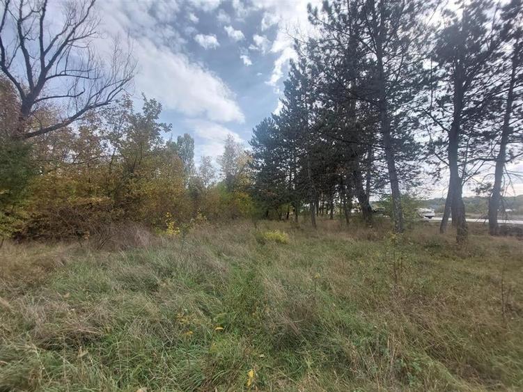 TEREN DE VANZARE 2000 MP IN VECINATATEA RAFO CU DESHIDERE LA SOSEAUA INDUSTRIILO - 4