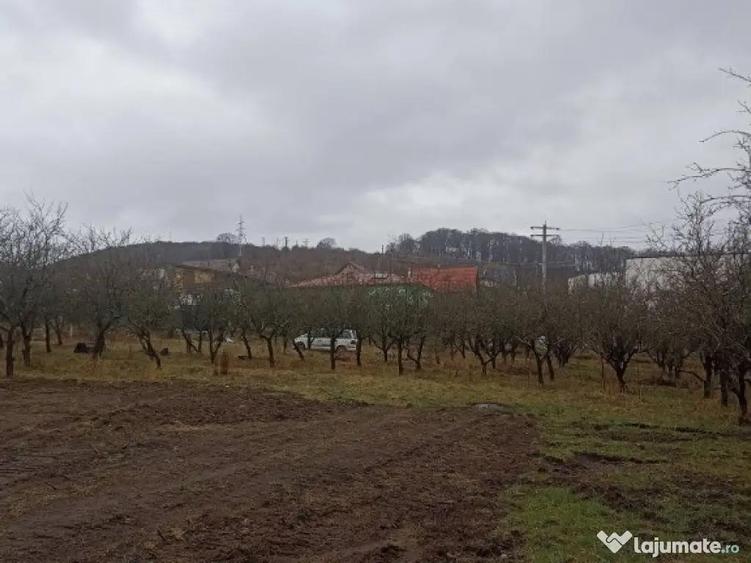 De vanzare terenuri intravilane in Sfantu Gheorghe - 3