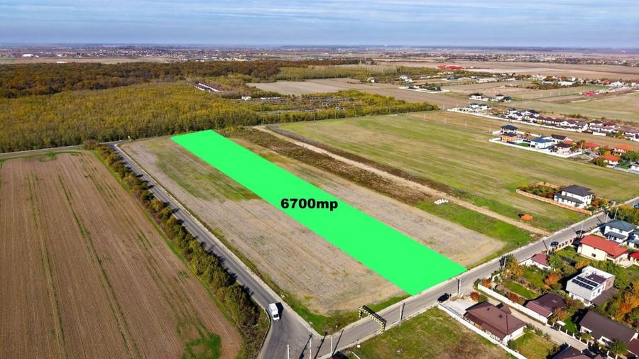 Dragomiresti Deal teren 6700 mp, padurea Ileana, utilitati, asfalt - 1