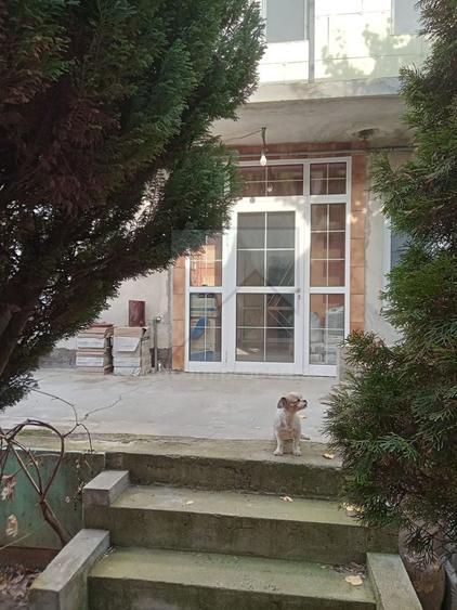 Vanzare Vila S+P+1+M - Viilor Parcul Carol - 15